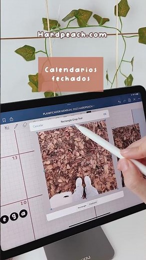 👉 Planificador Mensual: El método de organización más sencillo para personas desorganizadas