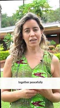 Nonviolent Communication