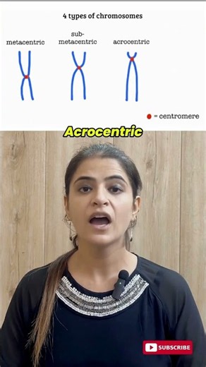 4 Types of Chromosomes