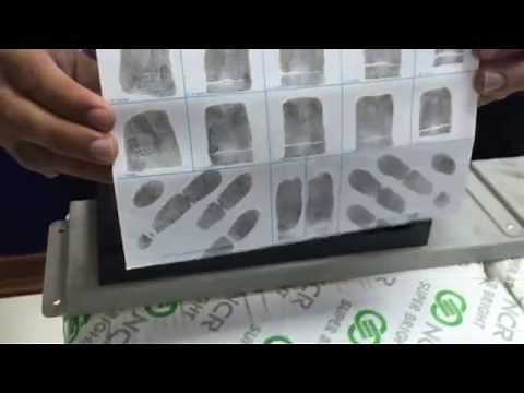 How to Roll Ink Fingerprints