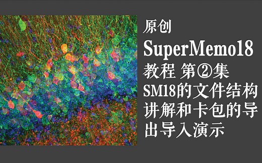 原创|SuperMemo18教程第②集: SM18的文件结构讲解和卡包的导出导入演示