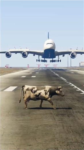 Crazy Cow Accidentally Comes Runway During Airbus Landing Gta5 #gta #gta5 #gtav #foryou #shorts