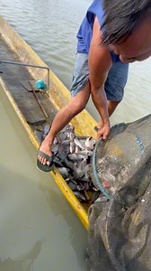 500K views · 10K reactions | Dami na namang blessingsThankyou Lord❤️ #reelsfacebook #reelsfypシ | Talim Islander | Facebook