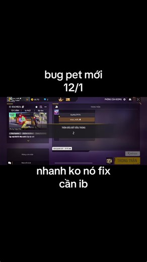 New Bug in FF Max Pets