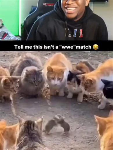 FBDownloader.to_AQPwgU8xfRXrwPXo3VyZqjitgodfxHQvtSp11X7PnUMewZAi09Rvmf3Vo6tBD_Wr5JxUMikDezfcjgJSsD4TWb7gifmY-rax258VbHI_720p_(HD)