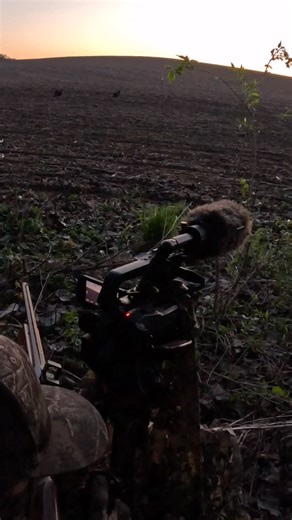 MidwestWhitetailOfficial on Instagram: "Right down the barrel. Spring mornings like this one have us counting down the days! Two steps and a hot skillet. #midwestwhitetail #hunting #turkeyhunting #turkeyseason #realtree"