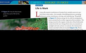 Campbell Biology In Focus7-1坎贝尔生物 11岁常荣自学大学课程