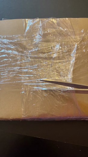 The coolest CD set I’ve ever seen. Sooo happy that I own this🙌 #animefigures #animefigurecheck #figurecheck #animetok #anime #figurecollector #figurecollection #animefigure #secretanimesociety #kickback #chainsawman #chainsawmananime