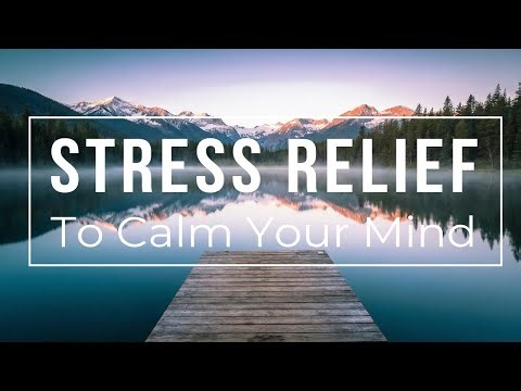 2 Hour Workplace Stress Relief Music | Calm Piano & Nature Sounds | 60 BPM Deep Relaxation
