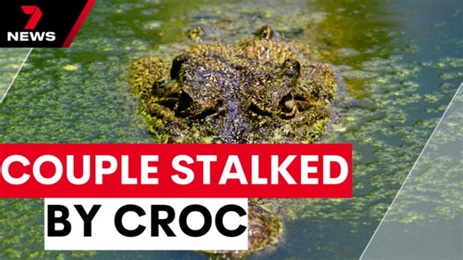 Couple stalked by crocodile share incredible story of survival