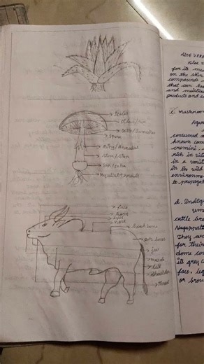 9th standard science experiment9 Economic biology