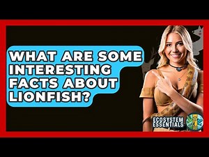 What Are Some Interesting Facts About Lionfish? - Ecosystem Essentials