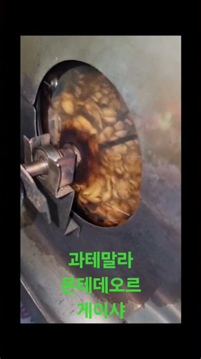 통돌이 직화식 스페셜 게이샤 로스팅#roaster #homeroasting #coffee #machine #homemade #coffeelover #커피