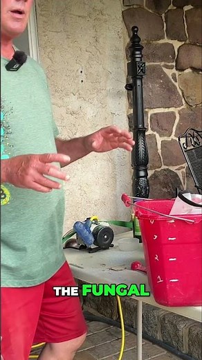 DIY Compost Tea Recipe: Grow a Lush Garden Naturally! #shorts