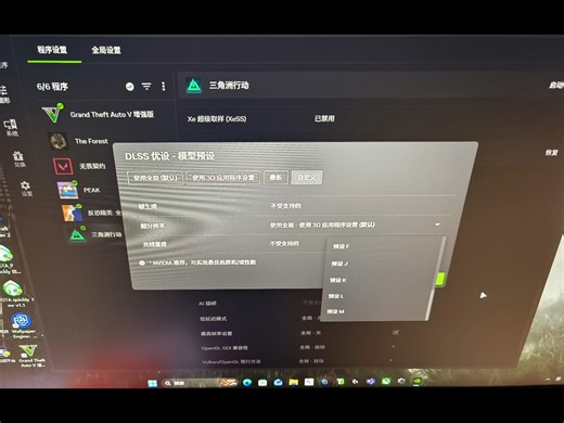 成功解决 无法 使用 n 卡驱动新模型