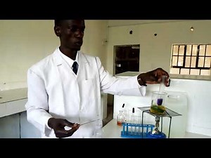 Practical Lesson 6; Test for starch in a leaf.