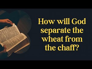 What does “separate the wheat from the chaff” mean in the Bible?