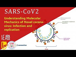 Understanding Molecular Mechanics of Novel corona-virus SARS-CoV2: Infection and replication