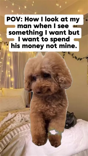 Enjoy Your Saturday with Fun Memes