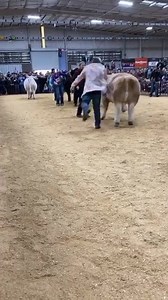 8.8K views · 69 reactions | Ryan Rash on Reels | Facebook