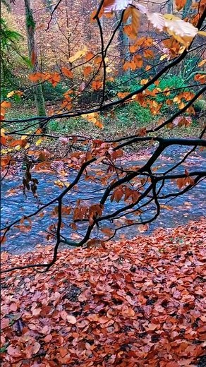 “Relaxing Water Sounds _ 20 Seconds of Calm | NaturePower 🌊 Soothing Nature ASMR