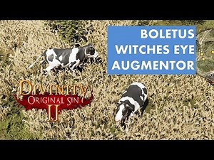 Where to find Boletus , Augmentor & Witches eye (Divinity Original Sin 2)