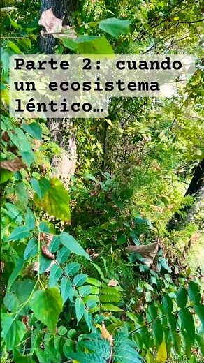 Parte 2: #ecosistema lóticos y lénticos. #aprender #ciencia e #ingenieria #tennessee #river