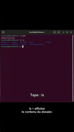 Day 15 Naviguer dans Linux avec la commande cd (Guide débutant)‎