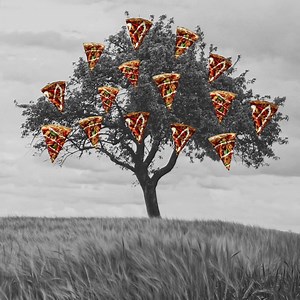 79K views · 1K reactions | Our vegan pizzas are made with all plant-based ingredients, which means humanity’s greatest dream has come true: pizza that grows on trees  | Crust Pizza | Facebook