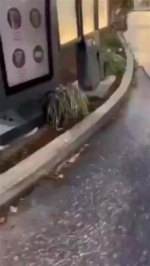 fnaf movie leak 😱😱🔥 #fyp #creamernation #bear5 #fnaf #lowqualitymemes