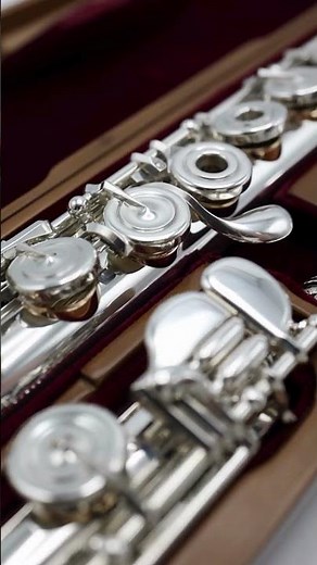 Gold Tone Holes + Silver Flute