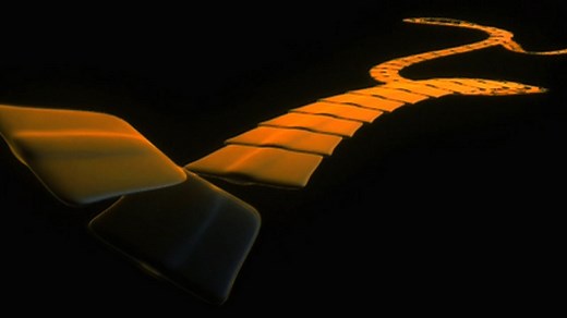 Flatworm Animation: Tapeworm