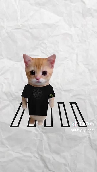 What is subculture clothing? Explained by kitty 🐱 | Cat Clothes