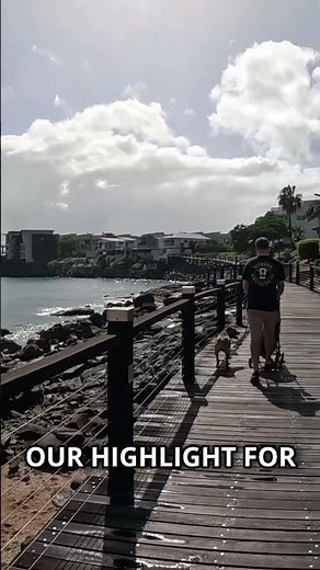 Things to do in Airlie Beach Queensland