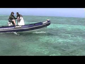 Zodiac Pro dive boats