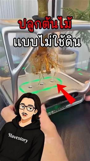 How to Grow Plants Without Soil #Plants #Nature #Knowledge #fpy #shorts