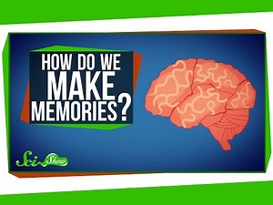 How Do You Make Memories?