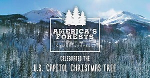 America's Forests with Chuck Leavell