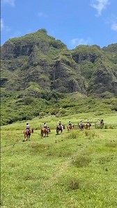 Would you ride a horse here? 🐎 #oahu #hawaii #horse #animal #fyp #viral #fun #tour #trending #video