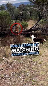 105K views · 4.4K reactions | If I was to guess how many of my...