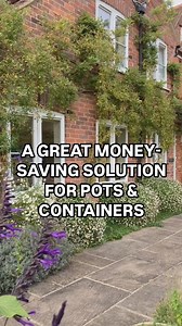 767K views · 5.3K reactions | This narrow bed outside our house is...