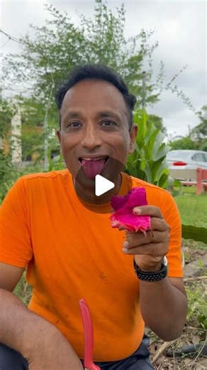 Sanjay Thumma on Instagram: "Delightfully exotic and refreshingly sweet—enjoying the vibrant flavors of dragon fruit!"