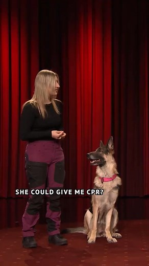 Sadie’s CPR talent goes off the rails in What’s Up, Dog #FallonTonight #hollywood #losangeles #actor #bollywood #love #movie #movies #film #actress #cinema | Good Try