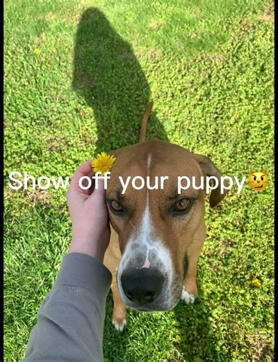 So CUTE 🥰 #foryouシ