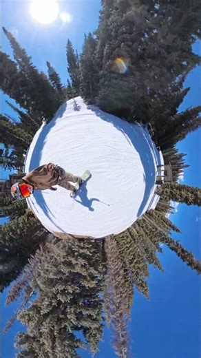 Another angle of Animal City 03/05/26