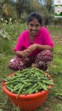 🌱 Double Your Harvest Using SPC Biogrowth! | Farmers Share #organicfarming