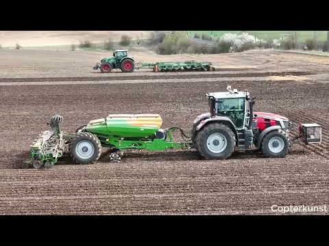 Zuckerrüben Legen Fendt 936+ Amazone Centauer 8001 MF+ Amazone Precea 6000TCC