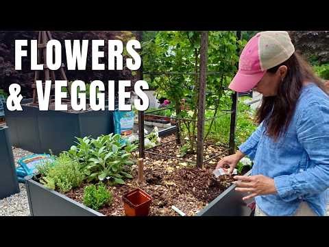 Creating a Beautiful Potager Garden (Flowers + Vegetables Together!)