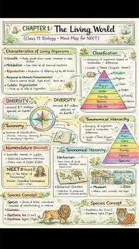Class 11 Biology – The Living World, mind map🦠📚