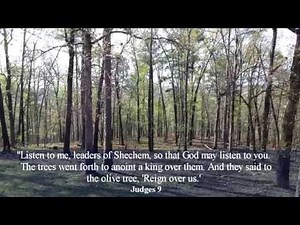 Parable of the Trees by Jotham